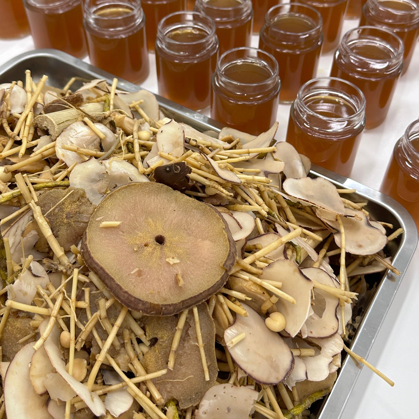 虎乳菌石斛雪梨冻|Tiger Milk , Dendrobium and Snow Pear Jelly