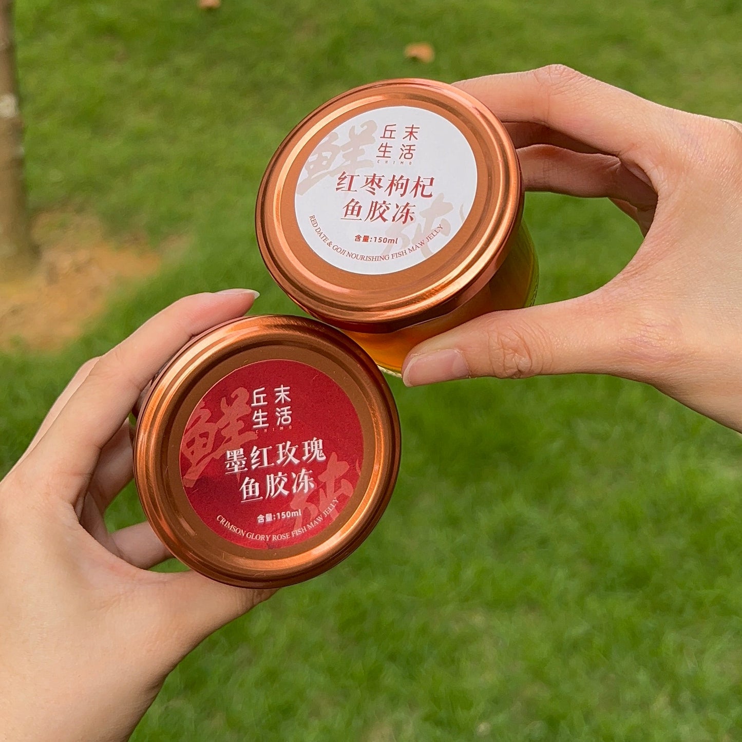 鱼胶冻 150ml*6礼盒| Fish Maw Jelly 150ml*6