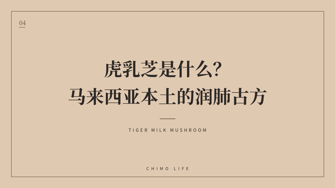 虎乳芝是什么？马来西亚本土的润肺古方 — 丘末生活 Chimo Life