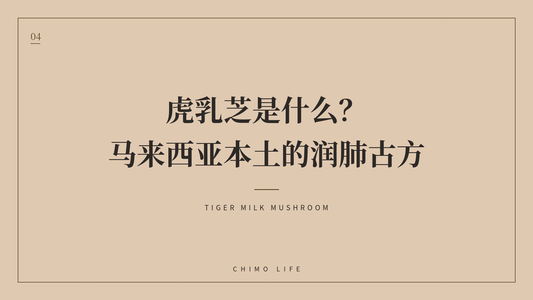 虎乳芝是什么？马来西亚本土的润肺古方 — 丘末生活 Chimo Life