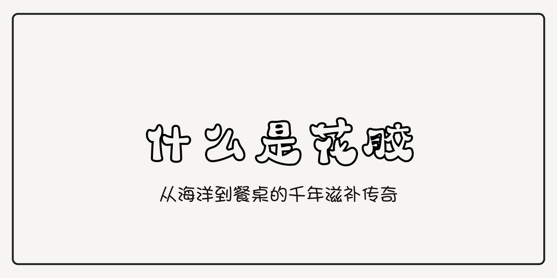 花胶：从海洋到餐桌的千年滋补传奇