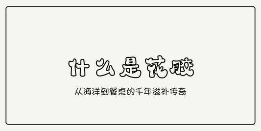 花胶：从海洋到餐桌的千年滋补传奇