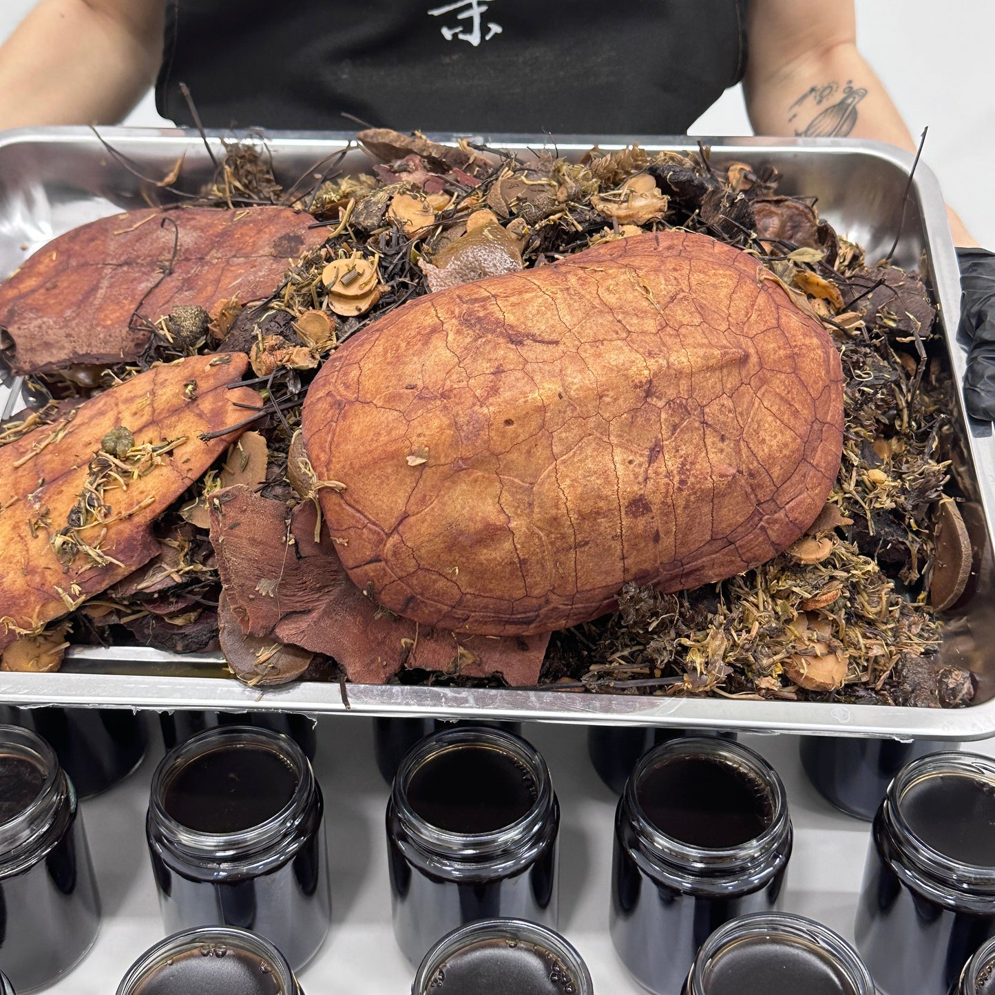 古法灵芝土茯苓龟苓膏｜Ganoderma Lucidum, Poria Cocos Tortoise jelly