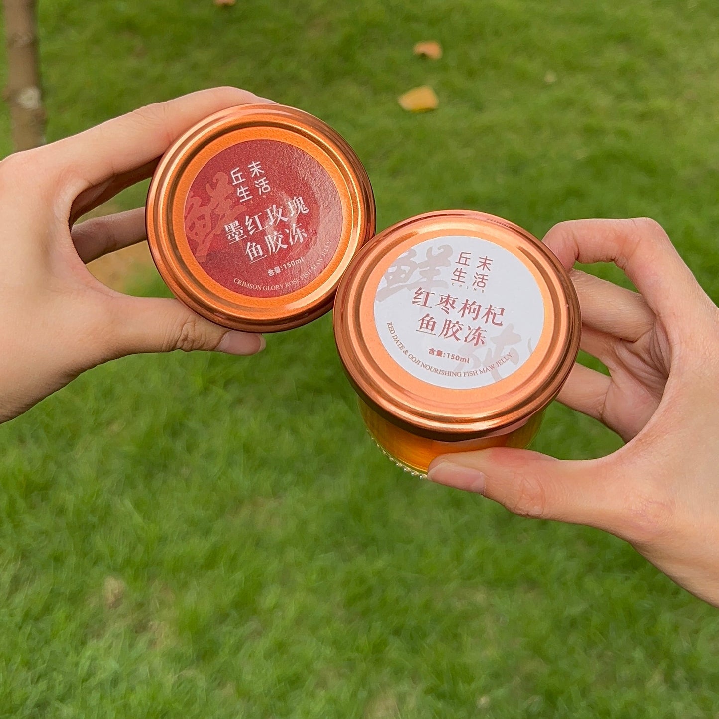 鱼胶冻 150ml*6礼盒| Fish Maw Jelly 150ml*6