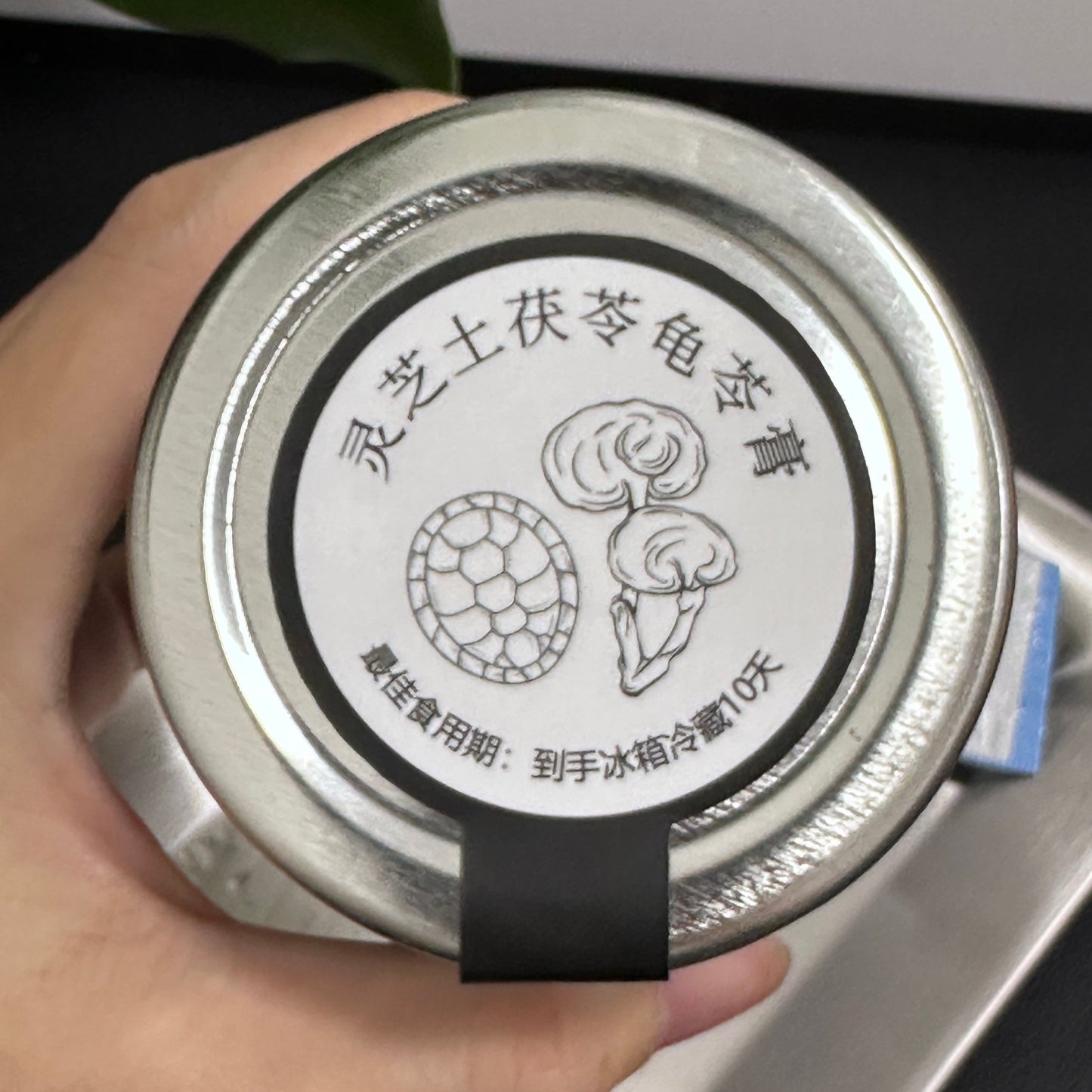 古法灵芝土茯苓龟苓膏｜Ganoderma Lucidum, Poria Cocos Tortoise jelly
